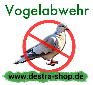 Professionelle Vogelabwehr